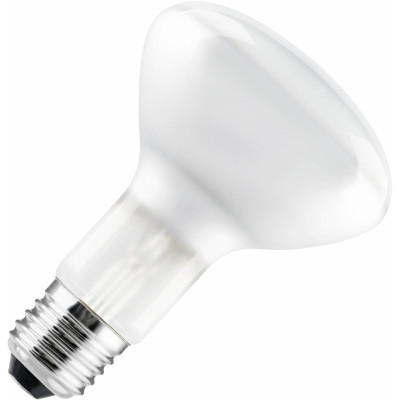 Лампы накаливания PROMO KRY 2Y 100W E27 FR Philips (Франція)